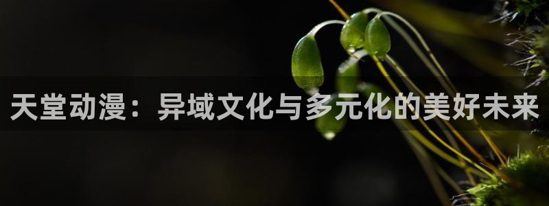 哈哩哈哩电影免费观看