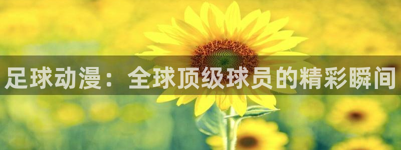 哈哩哈哩官网_halihal