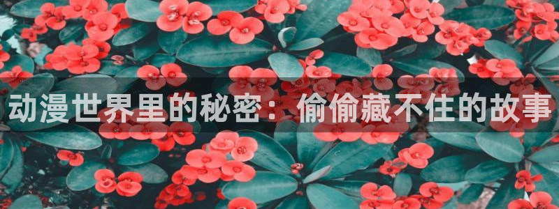 哈哩哈哩动漫温馨小站