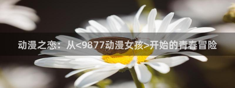 哈哩哈哩动漫网页版