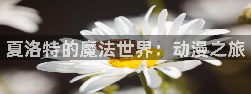 halihaili哈哩哈哩