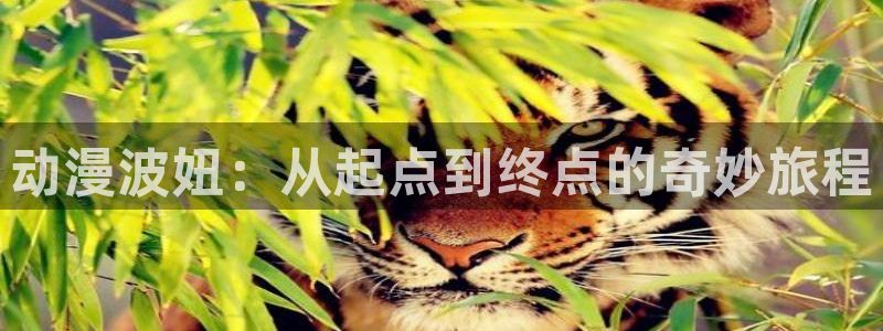 哈哩哈哩官网_