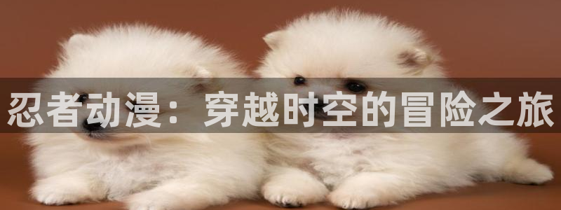 哈哩哈哩在线看网站