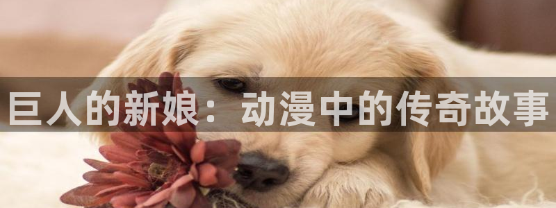 哈哩哈哩动漫温馨小站