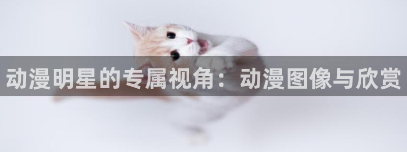 哈哩哈哩_halihali_哈哩哈哩动漫