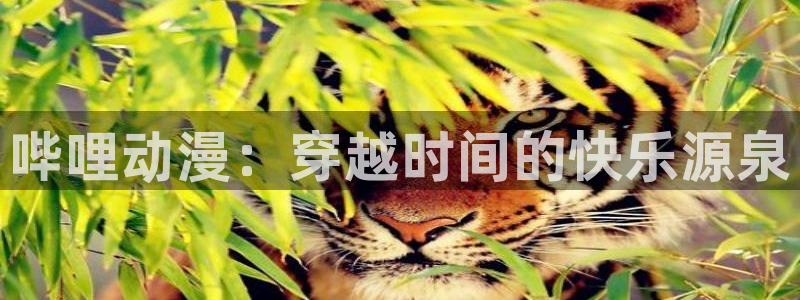 哈哩哈哩官网下载
