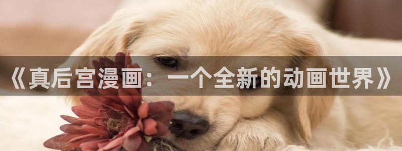 哈哩哈哩免费看电视剧