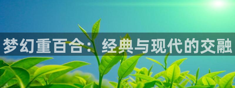 哈哩哈哩动漫官方网站